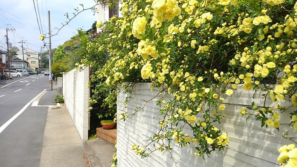 Le Blanc Hotel Kyoto Ngoại thất bức ảnh