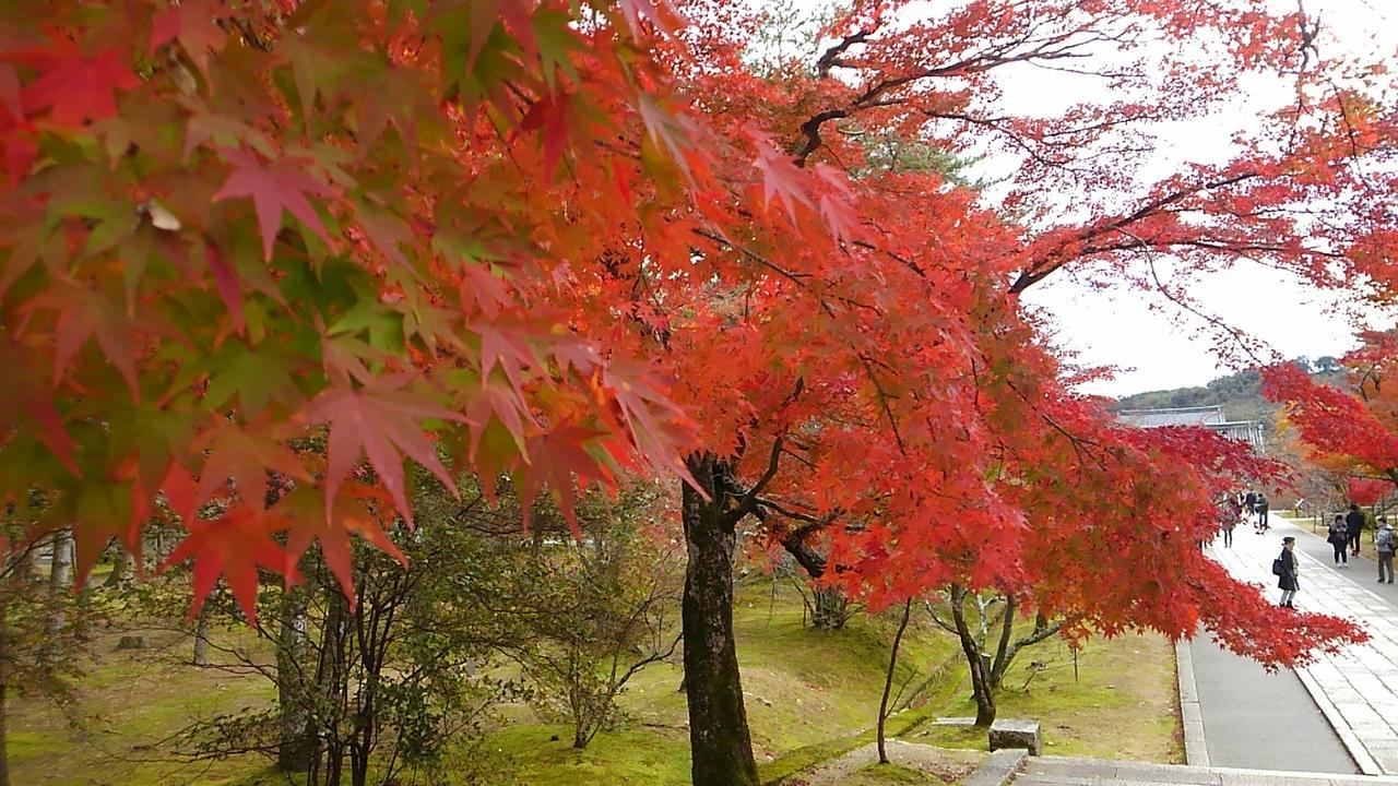 Le Blanc Hotel Kyoto Ngoại thất bức ảnh